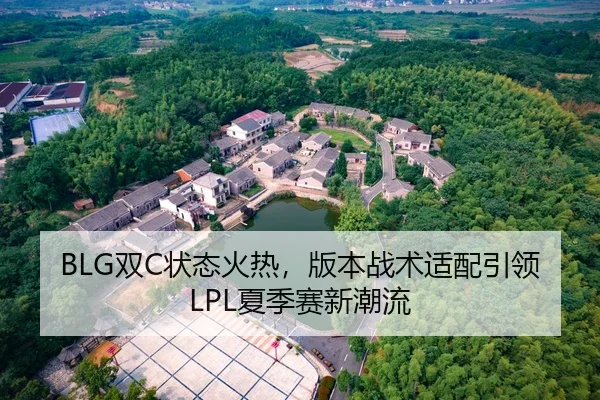 BLG双C状态火热，版本战术适配引领LPL夏季赛新潮流