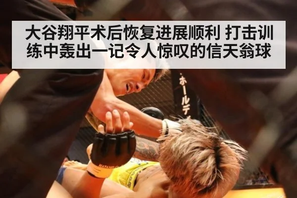大谷翔平术后恢复进展顺利 打击训练中轰出一记令人惊叹的信天翁球